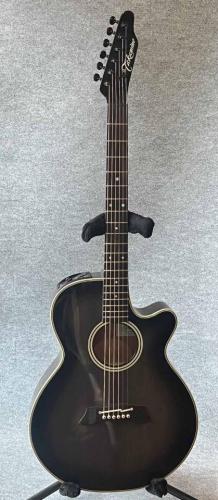 Takamine PT-106S
