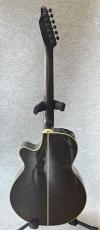 Takamine PT-106S_2