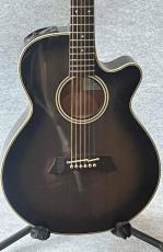 Takamine PT-106S_3