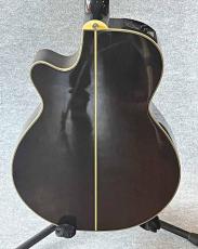 Takamine PT-106S_4