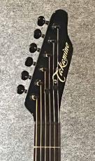 Takamine PT-106S_5