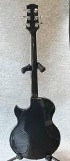 Gibson L-6S　Custom_6