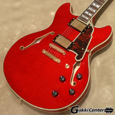 D'Angelico Excel Series Excel DC, Trans Cherry
