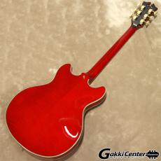 D'Angelico Excel Series Excel DC, Trans Cherry_3