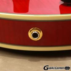 D'Angelico Excel Series Excel DC, Trans Cherry_10