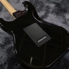 SCHECTER OL-ST-22/AB/R All Black -Japan Original Line-【SPOTモデル】【オールブラック!】_5