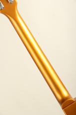 Edwards E-LP-STD LTD -All Gold-_6