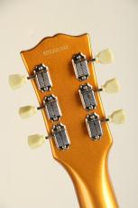 Edwards E-LP-STD LTD -All Gold-_8