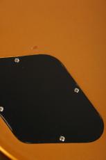 Edwards E-LP-STD LTD -All Gold-_9