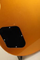 Edwards E-LP-STD LTD -All Gold-_10