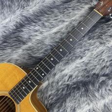 Taylor 214ce ES1_2