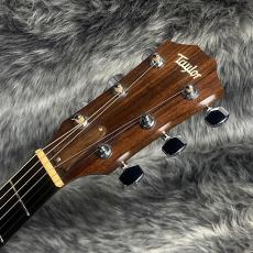 Taylor 214ce ES1_3