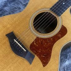Taylor 214ce ES1_5