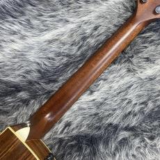 Taylor 214ce ES1_7