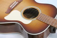 Taylor Ben Harper Gold Label 512e Special Edition_2