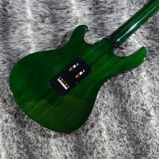 Gibson Victory Floyd Rose Iguana Burst_6