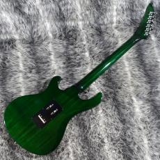 Gibson Victory Floyd Rose Iguana Burst_7