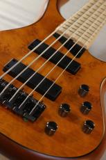 MTD Kingston Z5 -Satin Amber-【4.19kg】_3