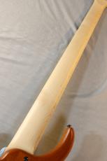 MTD Kingston Z5 -Satin Amber-【4.19kg】_10