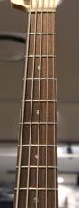 T's Omni-5st/22 --Arctic Blue Burst--【軽量!4.01kg】【S/N:080111】_3
