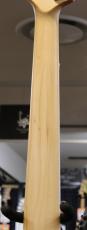 T's Omni-5st/22 --Arctic Blue Burst--【軽量!4.01kg】【S/N:080111】_6
