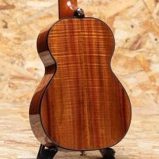 Kamaka HF-2 D2I Concert 2021_2