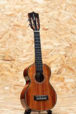 Kamaka HF-2 D2I Concert 2021_3