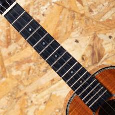 Kamaka HF-2 D2I Concert 2021_6