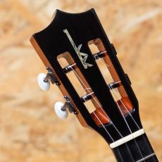Kamaka HF-2 D2I Concert 2021_8