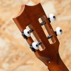 Kamaka HF-2 D2I Concert 2021_9