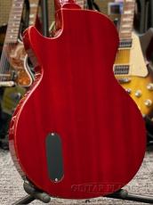 Epiphone Limited Edition Les Paul Junior LQ -Cherry- 2006年製 【MADE IN JAPAN】【Gibson Headstock!】_4