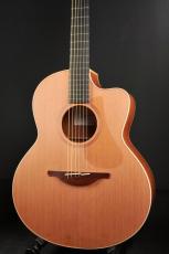 Lowden F-22C_2