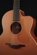Lowden F-22C_3