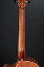 Lowden F-22C_9