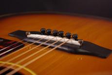 Epiphone Cortez FT-45_6