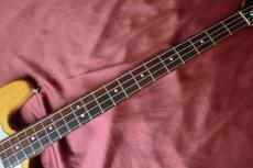 Epiphone Newport Bass_4