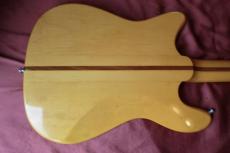 Epiphone Newport Bass_6