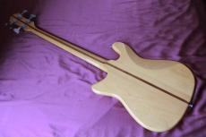Epiphone Newport Bass_8