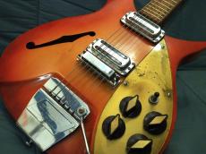 Rickenbacker 315_3