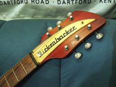 Rickenbacker 315_5