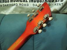 Rickenbacker 315_6