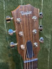 Taylor 【Taylor認定中古品】GTe Urban Ash C-Class -2021USED-【48回迄金利0%対象】【送料当社負担】_4