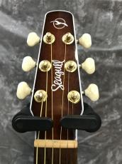 Seagull Performer CW CH B.Umb QITw/Bag_4