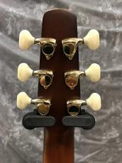 Seagull Performer CW CH B.Umb QITw/Bag_6