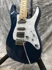 SCHECTER BH-1-STD-24F