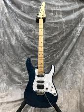 SCHECTER BH-1-STD-24F_2