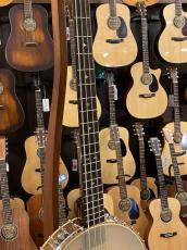 Gold Tone BB-400+ Banjo Bass_3