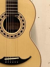 AVALON GUITARS P4-325 《Adirondack Spruce × Madagascar Rosewood》#2504【無金利分割OK】 【梅雨の稲妻セール!!】_3
