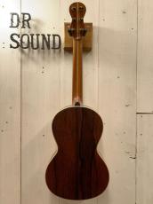 AVALON GUITARS P4-325 《Adirondack Spruce × Madagascar Rosewood》#2504【無金利分割OK】 【梅雨の稲妻セール!!】_8