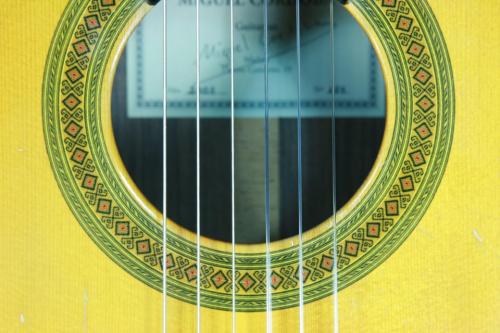 Miguel Cordoba [ミゲル・コルドバ] 620mm